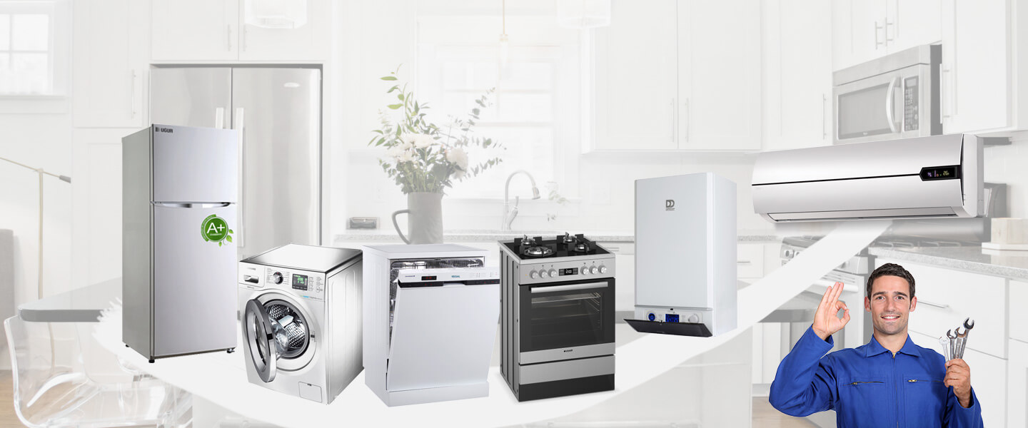 Araç Gorenje Servisi